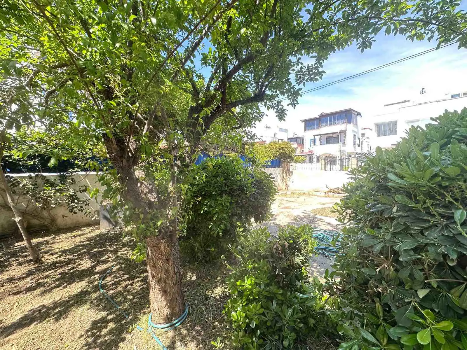 Property image 30