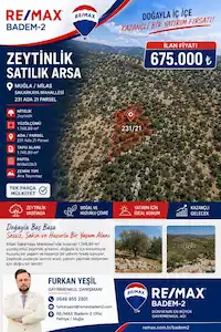 🌿 MUĞLA MİLAS SAKARKAYA MAHALLESİ’NDE SATILIK ZEYTİNLİK 🌿