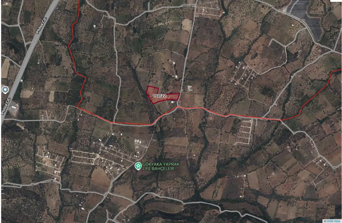 MANİSA DEMİRCİ'DE SALİHLİ SİMAV YOLUNA 200 METRE 6.027 M2 TARLA