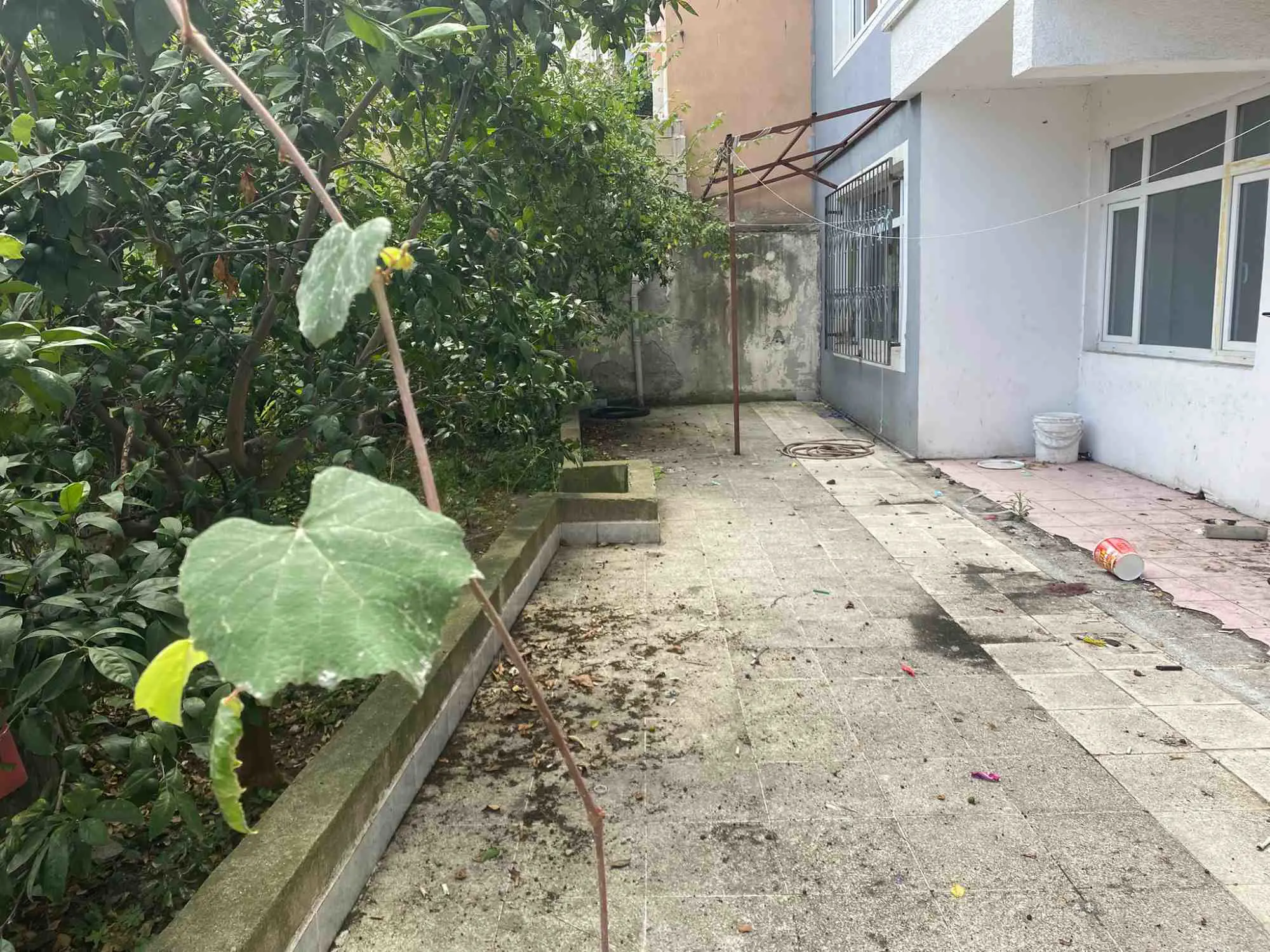 Property image 32