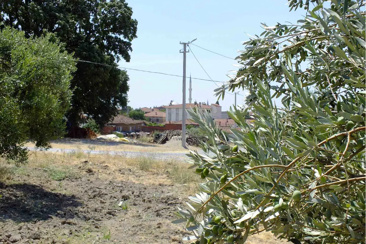 AKHISAR SINDELLI'DE 11 VILLA İMARLI 6.262 M² YATIRIMLIK ARSA