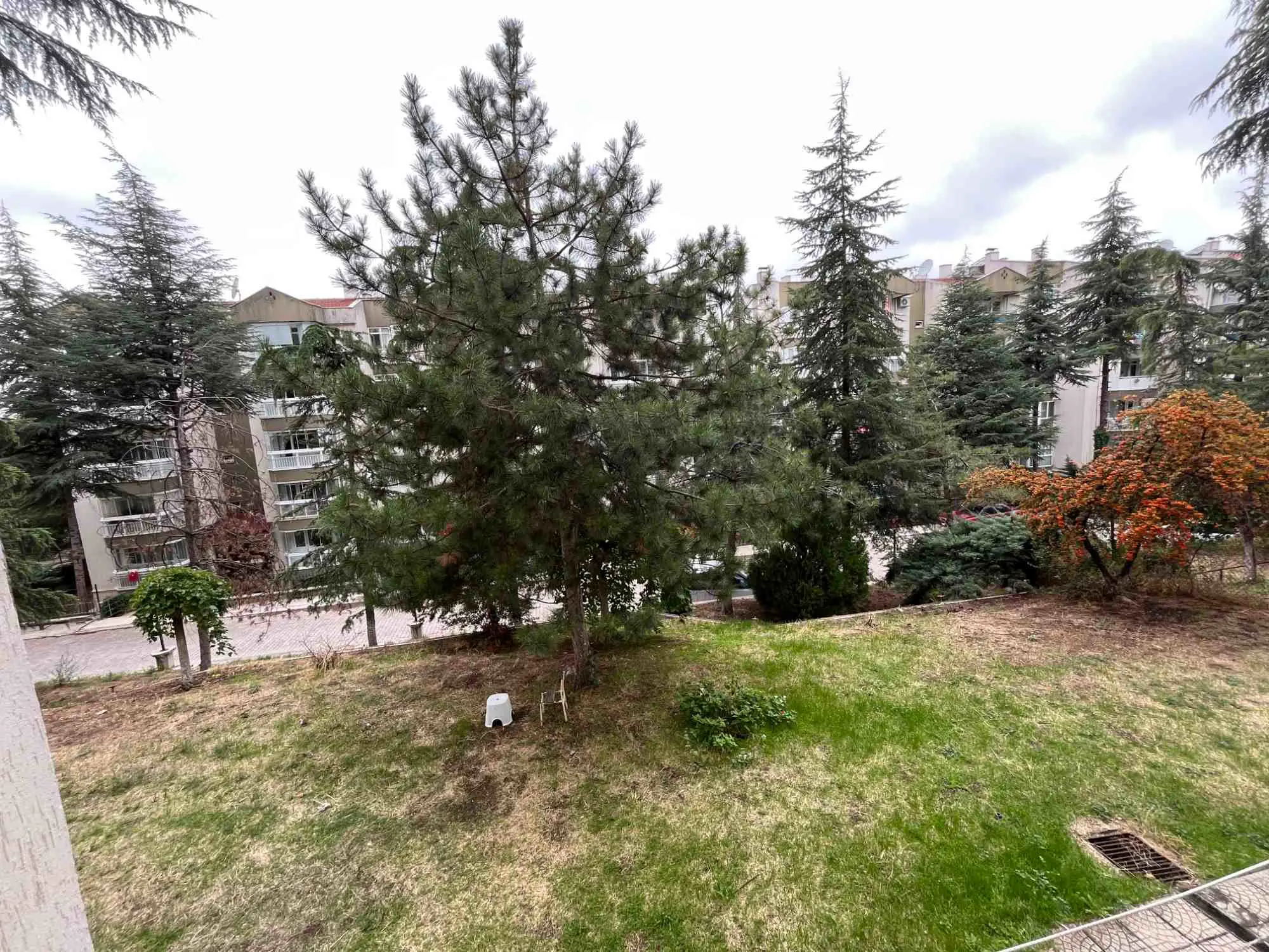 Property image 24