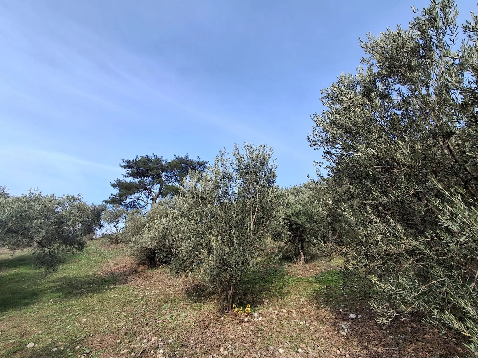 Property image 27