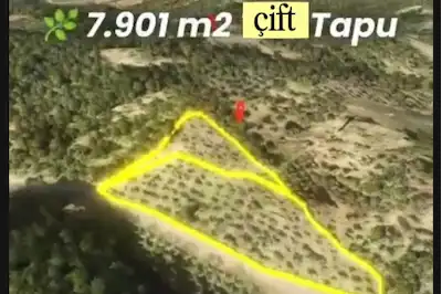 8.000.000 ₺ İZMİR KEMALPAŞA YUKARIKIZILCA MAHALLESİ | İMARA SINIR ÇİFT TAPU ZEYTİNLİK