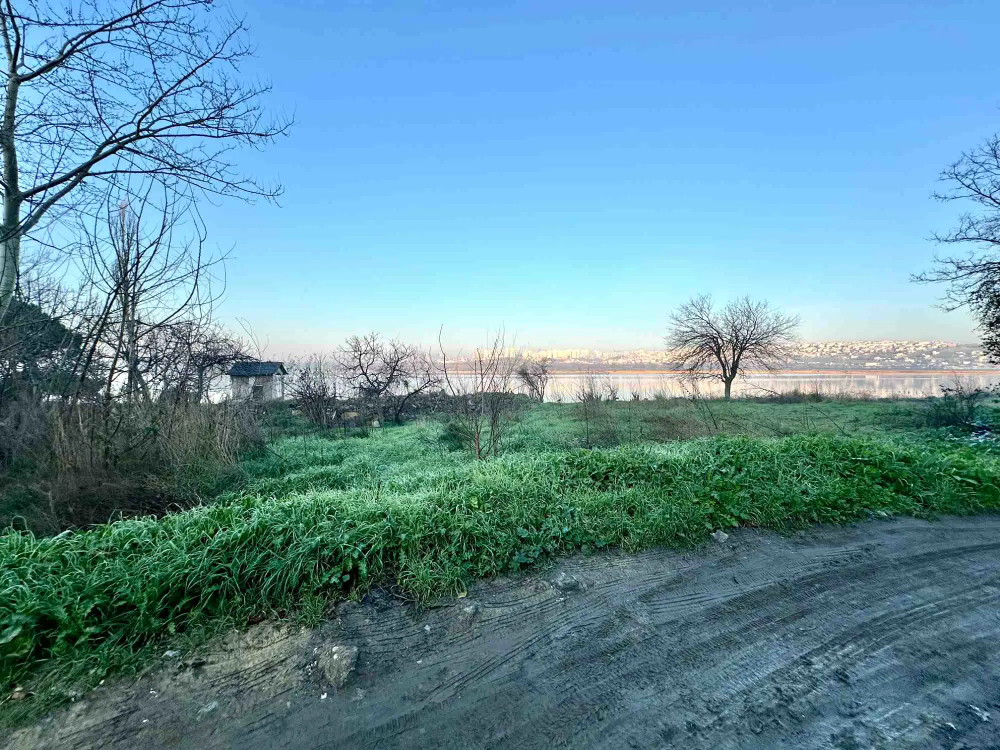 Property image 30