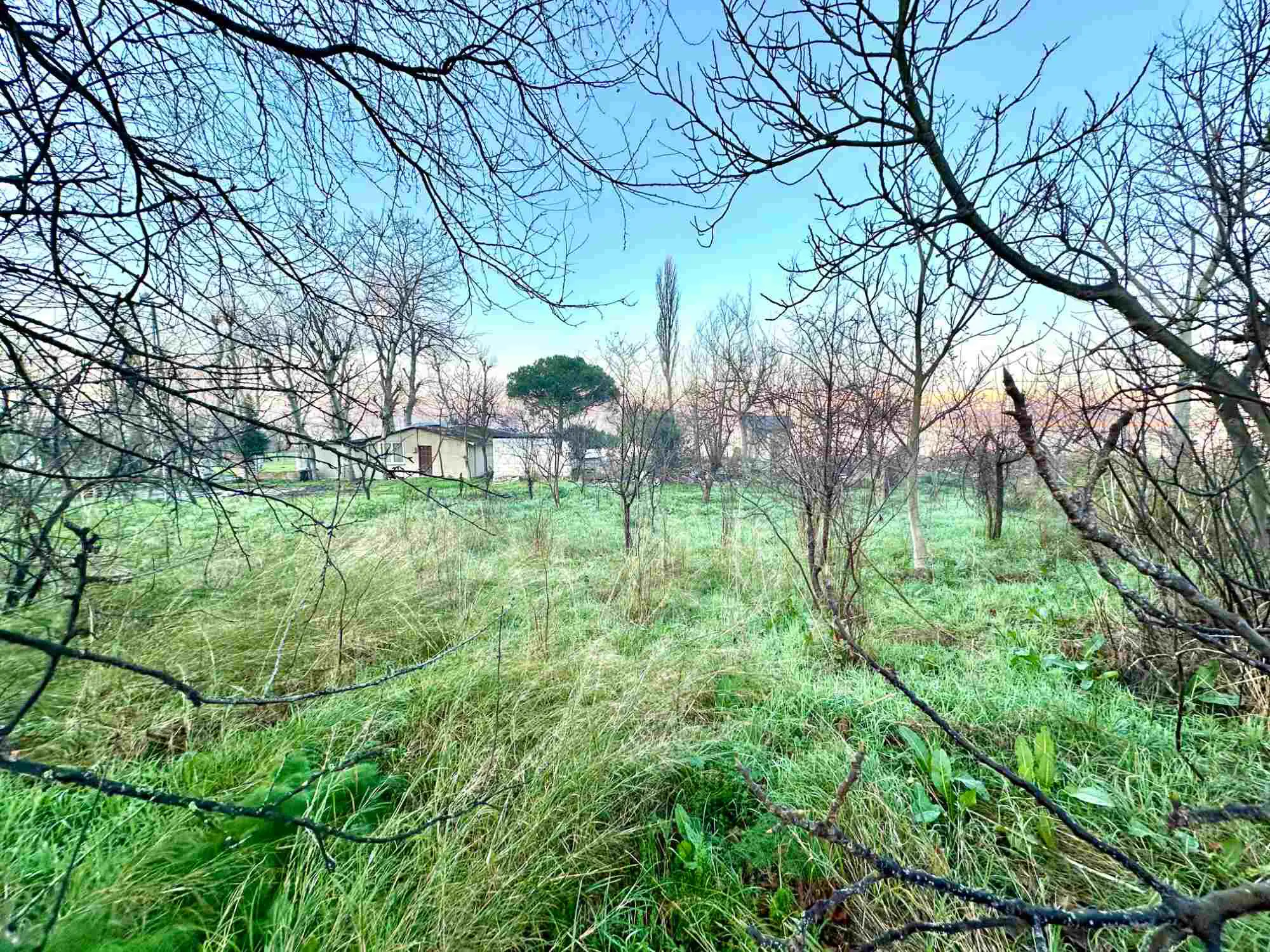Property image 23