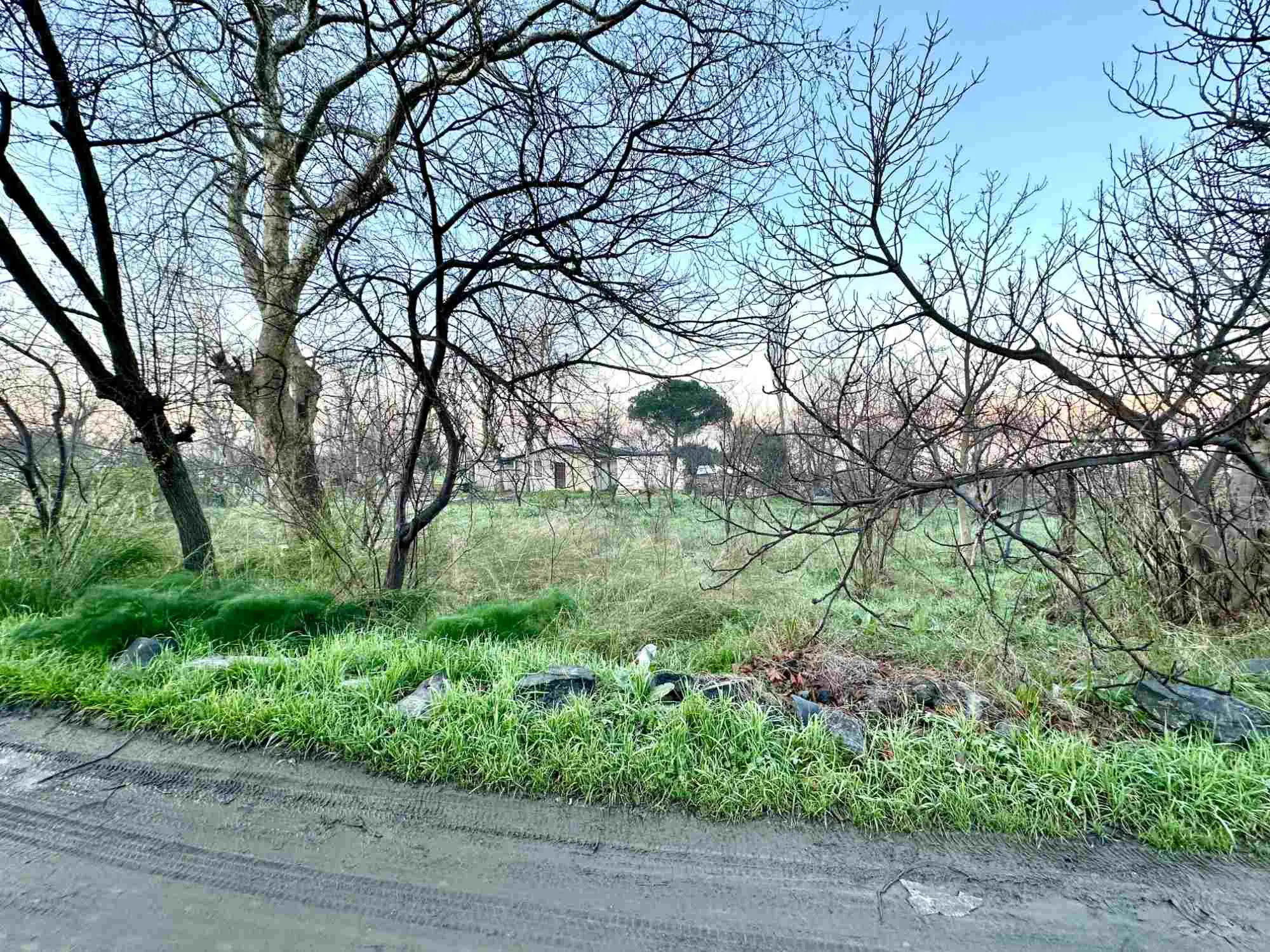 Property image 22