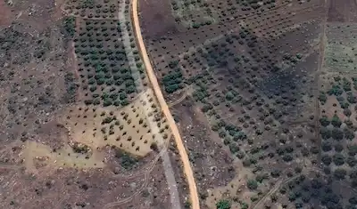 BILECIK GÖLPAZARI BÜYÜKBELENDE YOLA CEPHELI SATILIK 330M2 TARLA