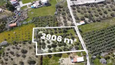İZMİR DİKİLİ BADEMLİ DE SATILIK 3906 M² TEK TAPU ARAZİ
