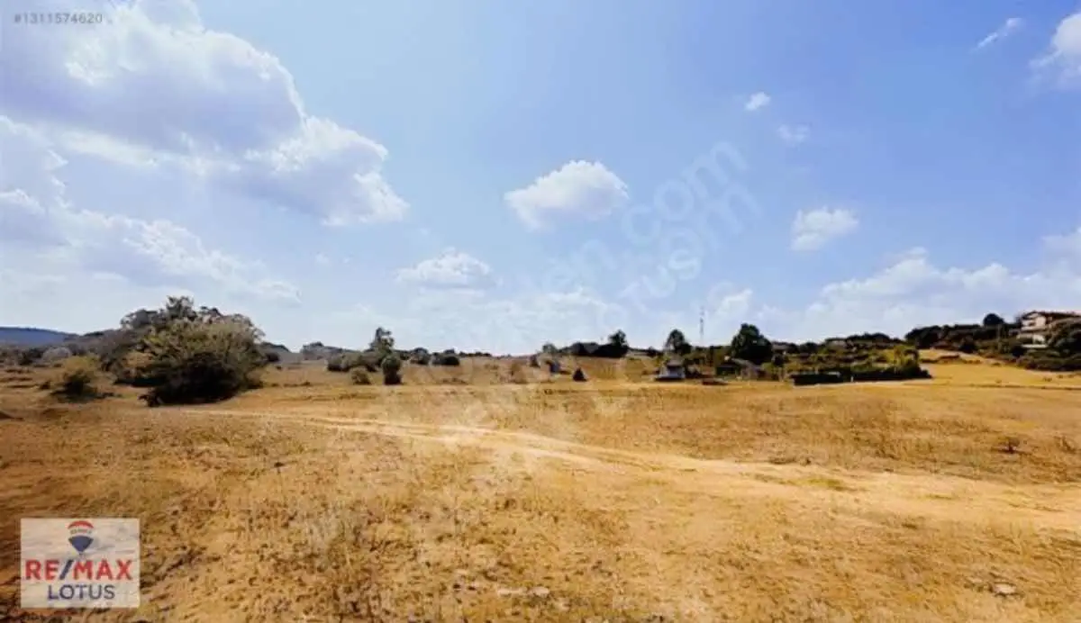 BURCU AYDENİZDEN ŞİLEDE 3.000 M² PRİM YAPACAK YATIRIMLIK TARLA