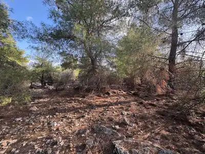 ANTALYA AKSU  TOPALLI’DA YÜKSEK GERİLİM VE TREN HATTINA UZAK SATILIK ARSA