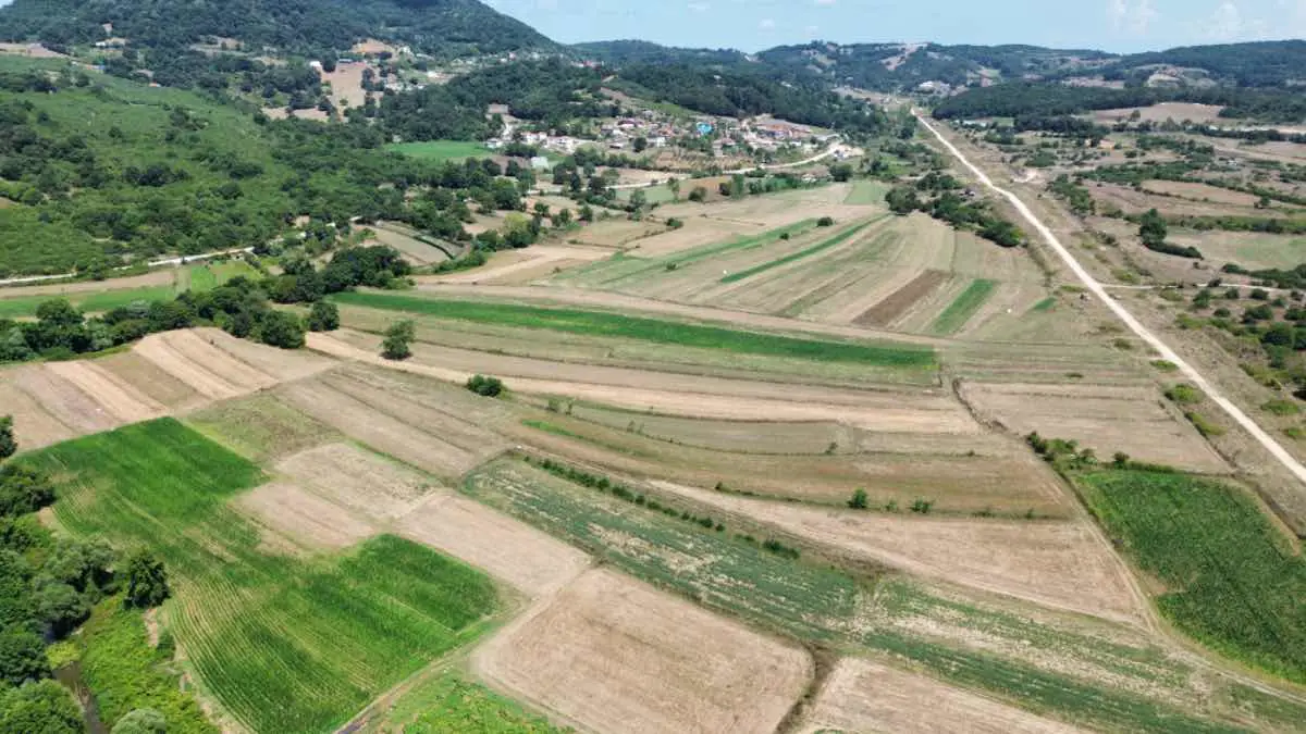 KANDIRA KIZILCAPINAR’DA YERLEŞİME YAKIN 1.839 M² SATILIK TARLA
