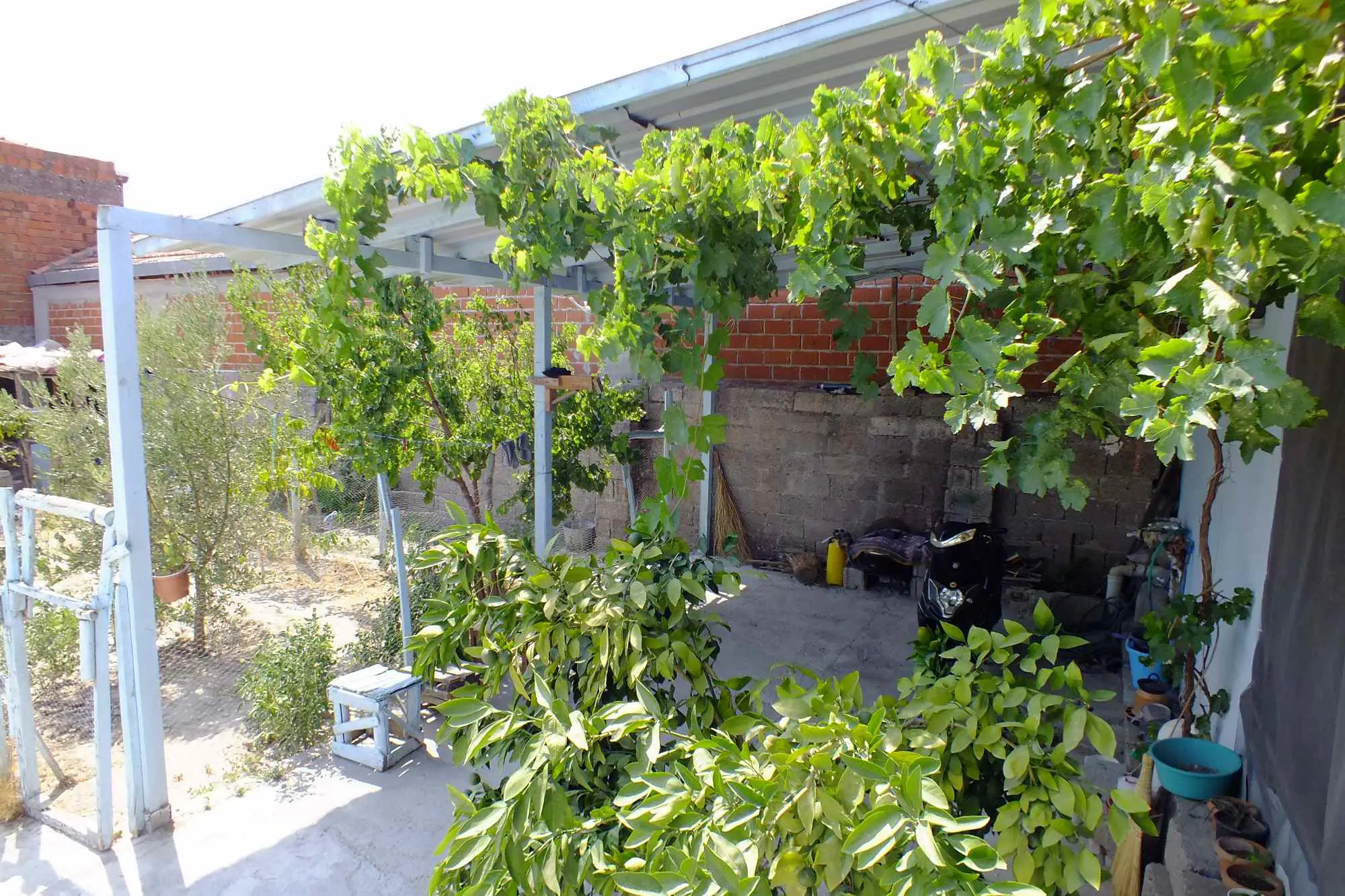Property image 29