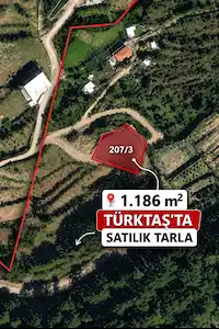 ALANYA TÜRKTAŞTA 1.186 M2 SATILIK TARLA