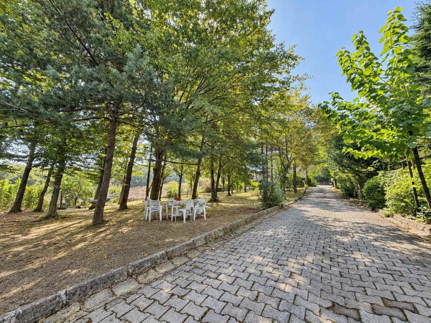 Property image 31