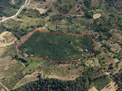 İNEGÖL ÇAYYAKA’DA 100 DÖNÜM CEVİZ BAHÇESİ NİTELİĞİNDE TARLA MÜSTAKİL PARSEL 
