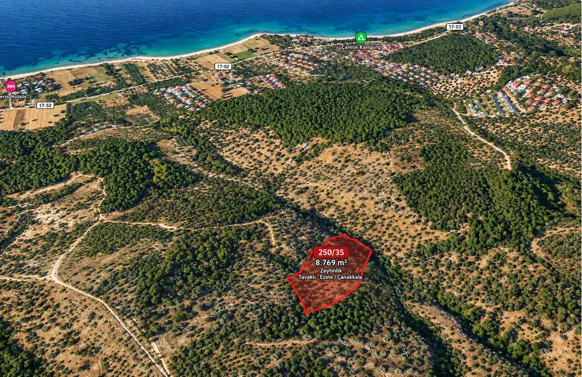 ÇANAKKALE EZİNE TAVAKLI’DA DENİZE 1 KM MESAFEDE 8.769 M² ZEYTİNLİK