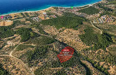 ÇANAKKALE EZİNE TAVAKLI’DA DENİZE 1 KM MESAFEDE 8.769 M² ZEYTİNLİK