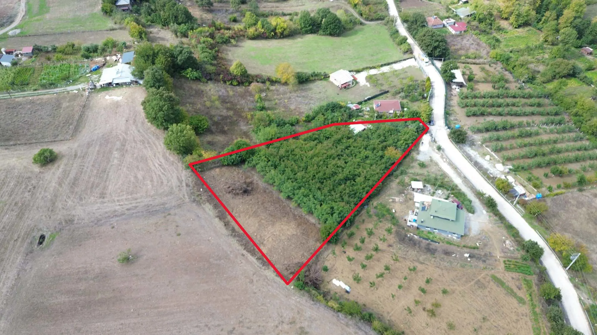 Property image 8