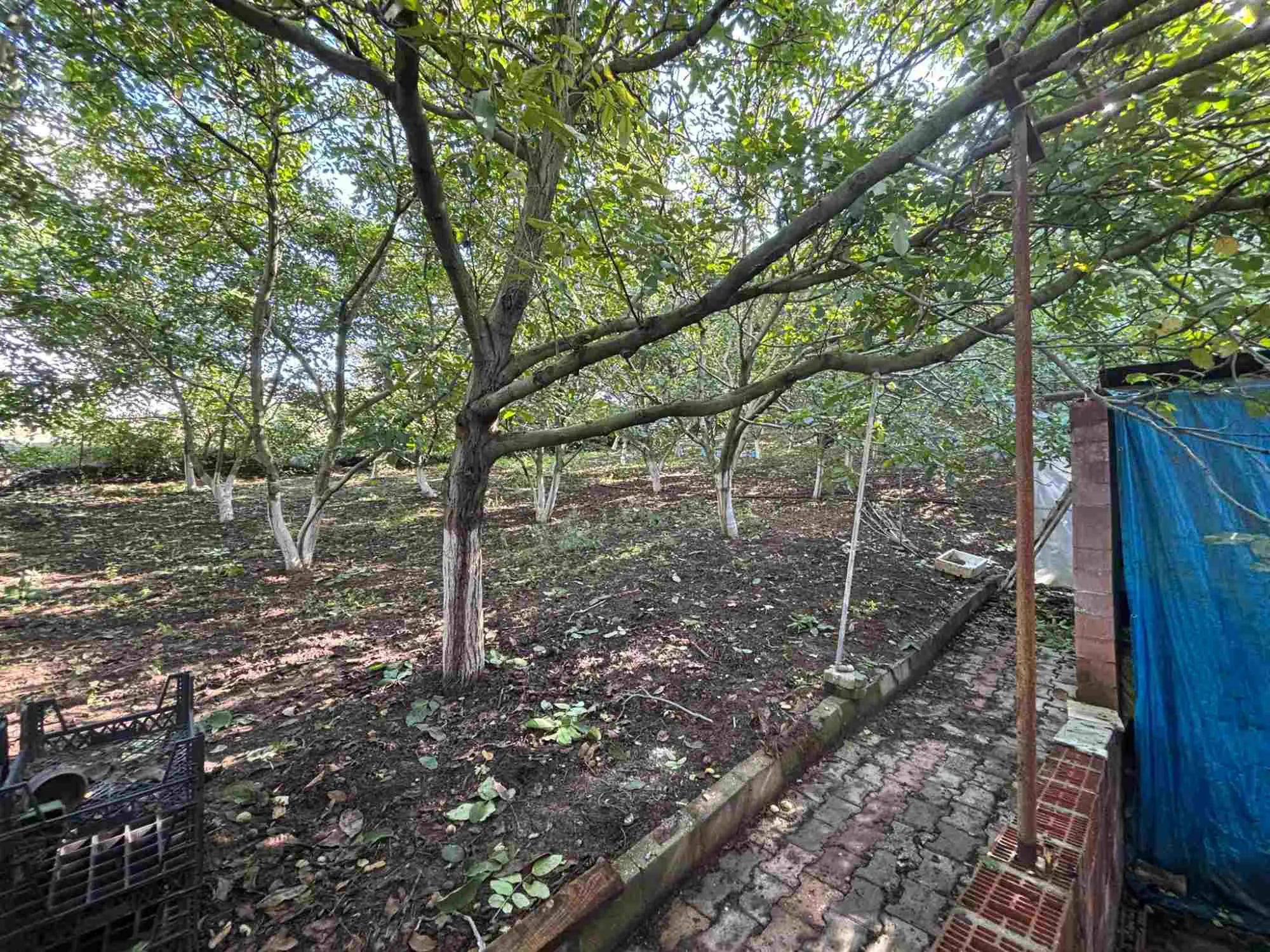 Property image 22