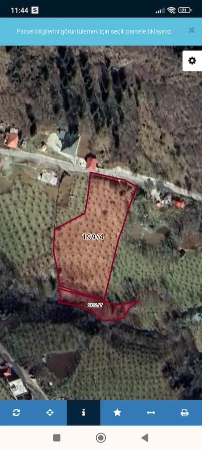 KAYNARCA MAHALLESİ KÖYİÇİ MANZARALI FINDIK BAHÇESİ