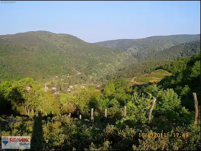 REMAX ŞEHİR'DEN YALOVA KURTKÖY'DE YATIRIMLIK TARLA