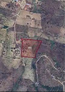 İZMİR ÖDEMİŞ 9.050M2 MÜSTAKİL PARSEL SATILIK TARLA