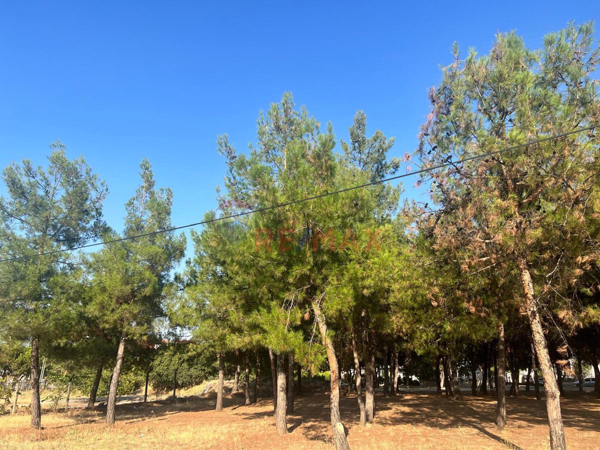 REMAX MODEL DENİZLİ'DEN YÜRÜYÜŞ YOLU MEVKI SATILIK ARSA 