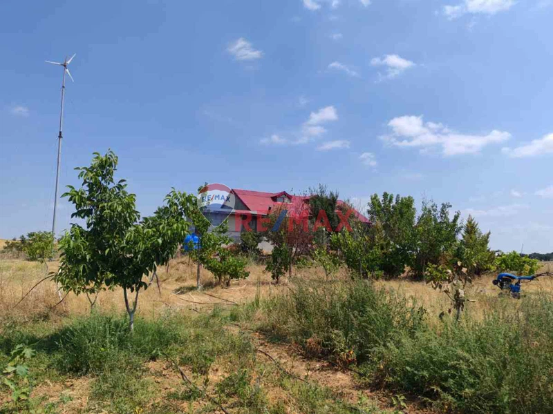 EDIRNE, KEŞAN, BÜYÜKDOĞANCI, YAPI KAYIT BELGELI ÇIFTLIK