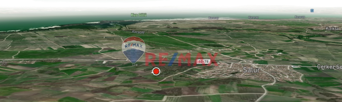 BALIKESIR MANYAS SALUR'DA SATILIK BAĞ