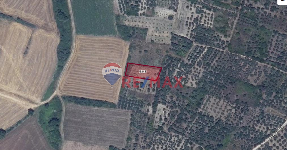 BALIKESIR MANYAS SALUR'DA SATILIK BAĞ