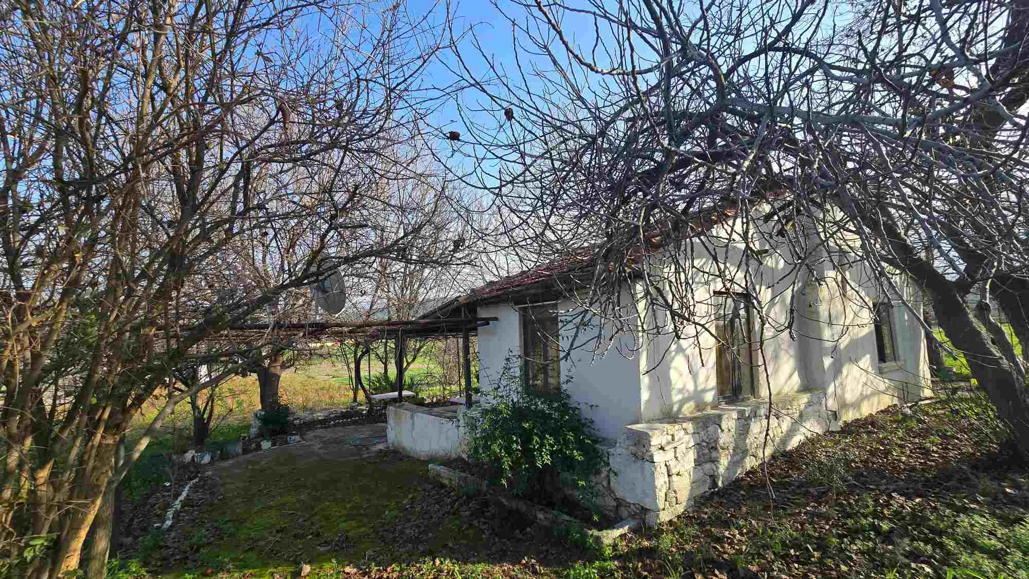 Property image 29