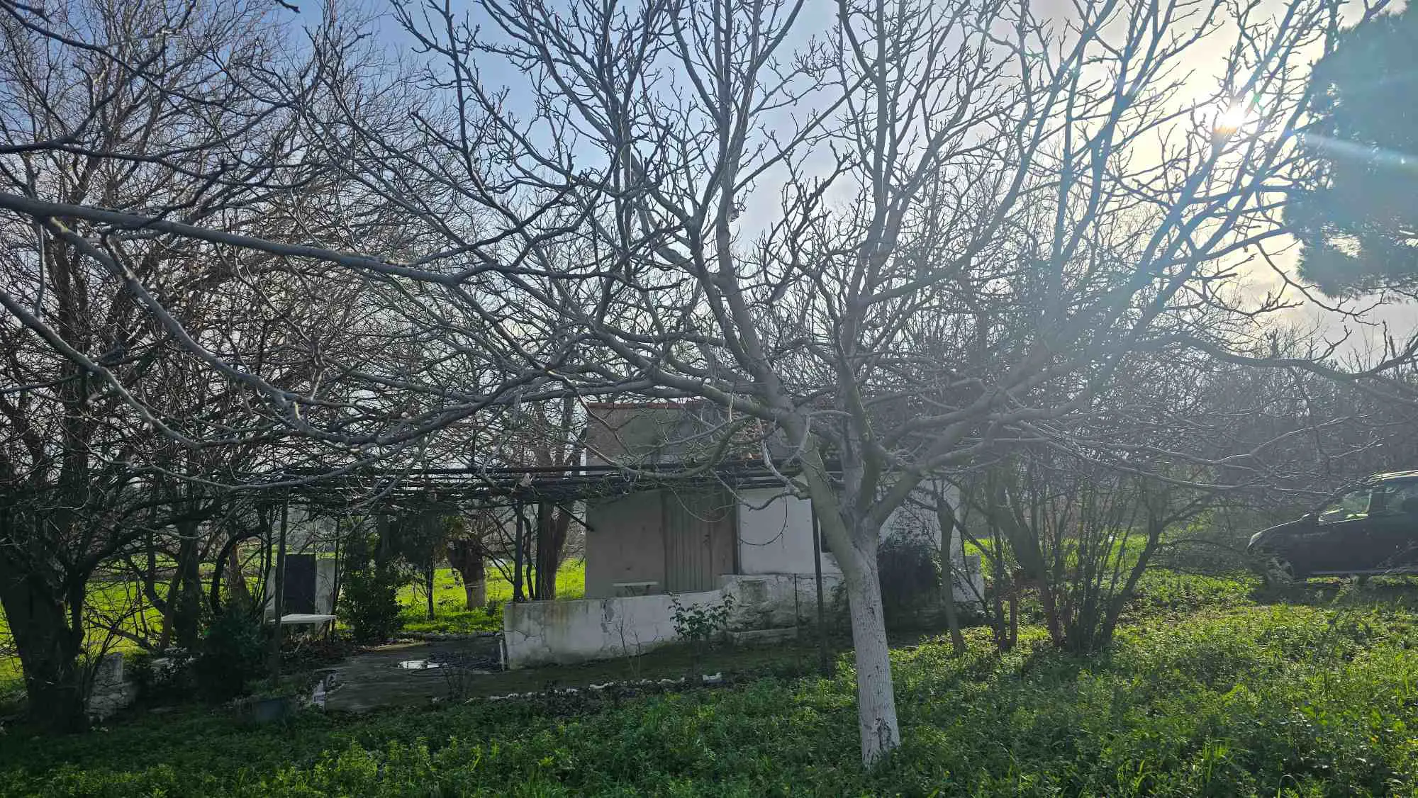 Property image 23