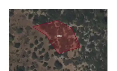 MUĞLA MILAS ÖREN KULTAKTA SATILIK ZEYTINLIK