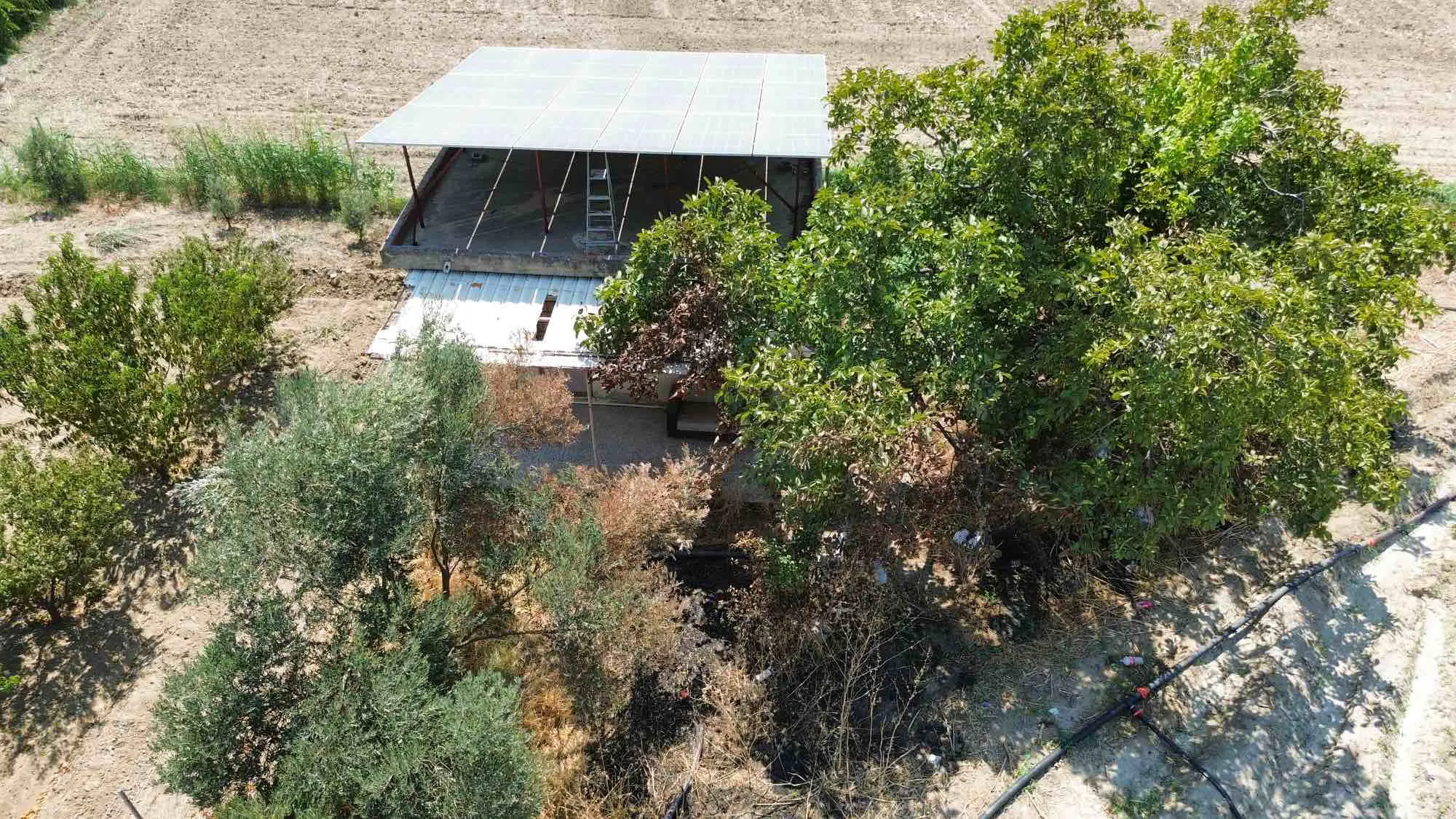 Property image 11