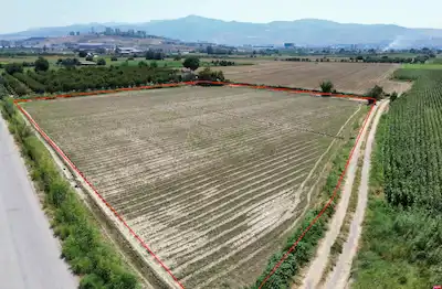 MENEMENDE MÜSTAKİL TAPULU SATILIK 9.517 M2 BAĞ TARLA