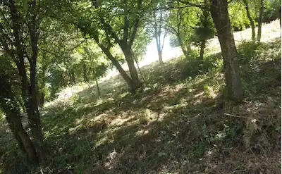 REMAXÇAKRA ÖMER ONAYCI'DAN BAŞISKELE'DE YATIRIMLIK FIRSAT ARAZI