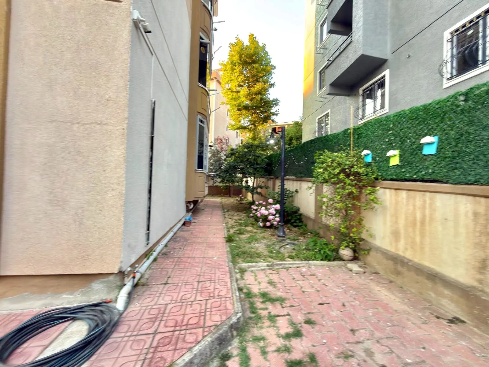 Property image 60