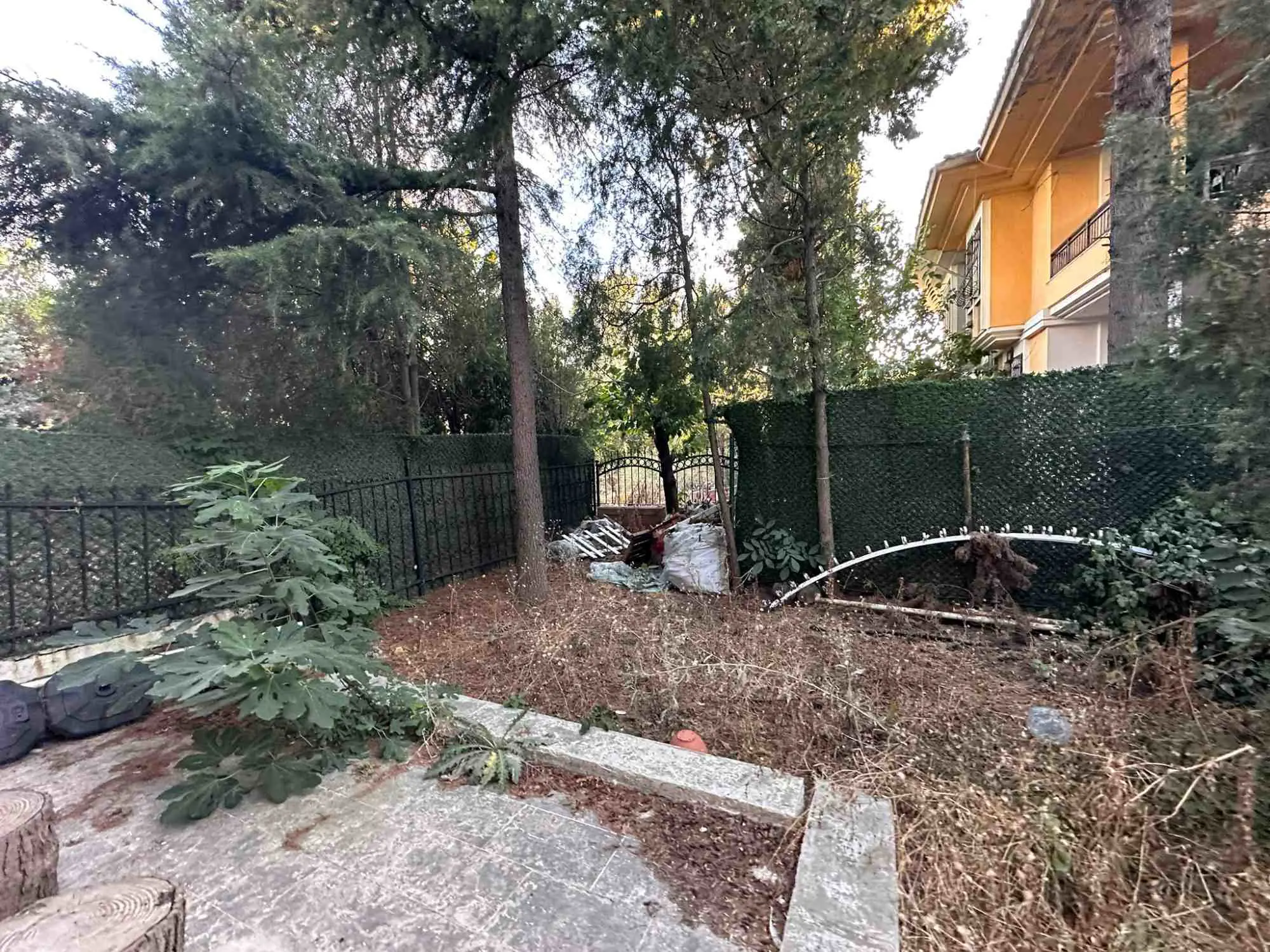 Property image 63