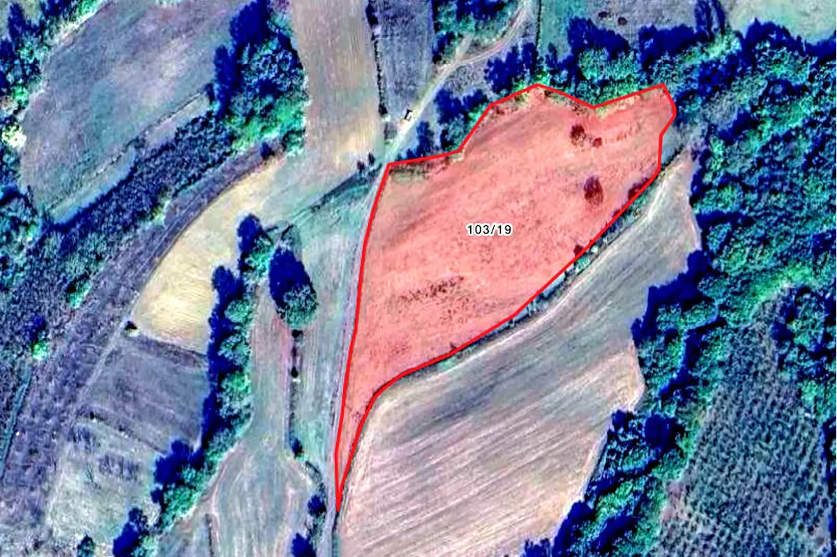 YATIRIMLIK KANDIRA SARNIÇLAR MH RESMİ YOLU OLAN 10671 M2 TARLA