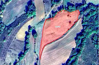 YATIRIMLIK KANDIRA SARNIÇLAR MH RESMİ YOLU OLAN 10671 M2 TARLA
