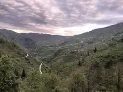 SATILIK BAĞ BAHÇE 