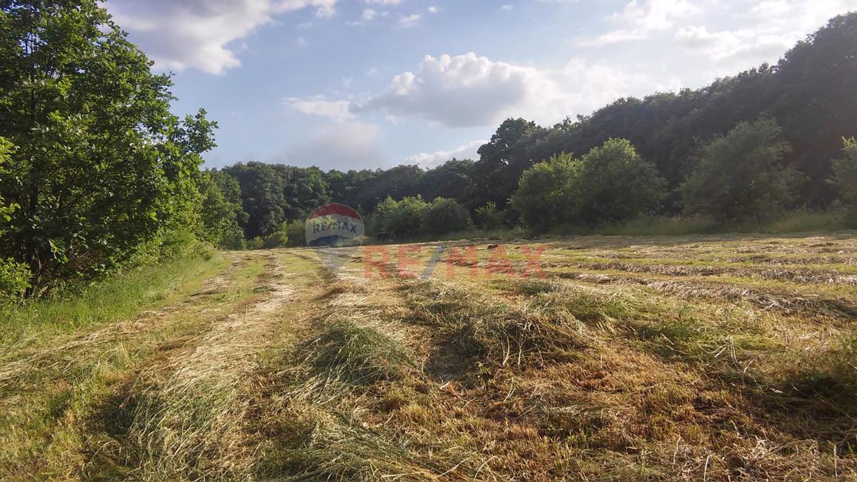 BAHÇEKÖY DE SATILIK MÜSTAKIL TAPULU 2 PARSEL TOPLAM 8055M²