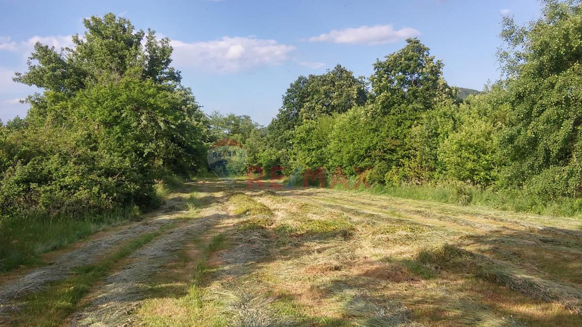 BAHÇEKÖY DE SATILIK MÜSTAKIL TAPULU 2 PARSEL TOPLAM 8055M²