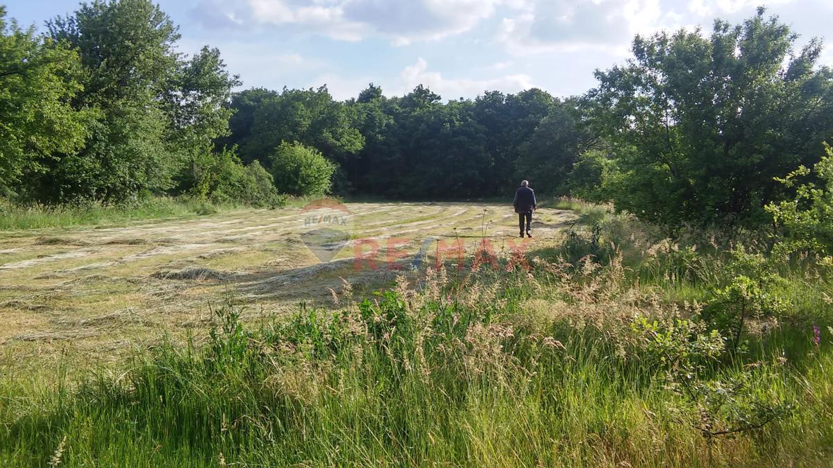 BAHÇEKÖY DE SATILIK MÜSTAKIL TAPULU 2 PARSEL TOPLAM 8055M²