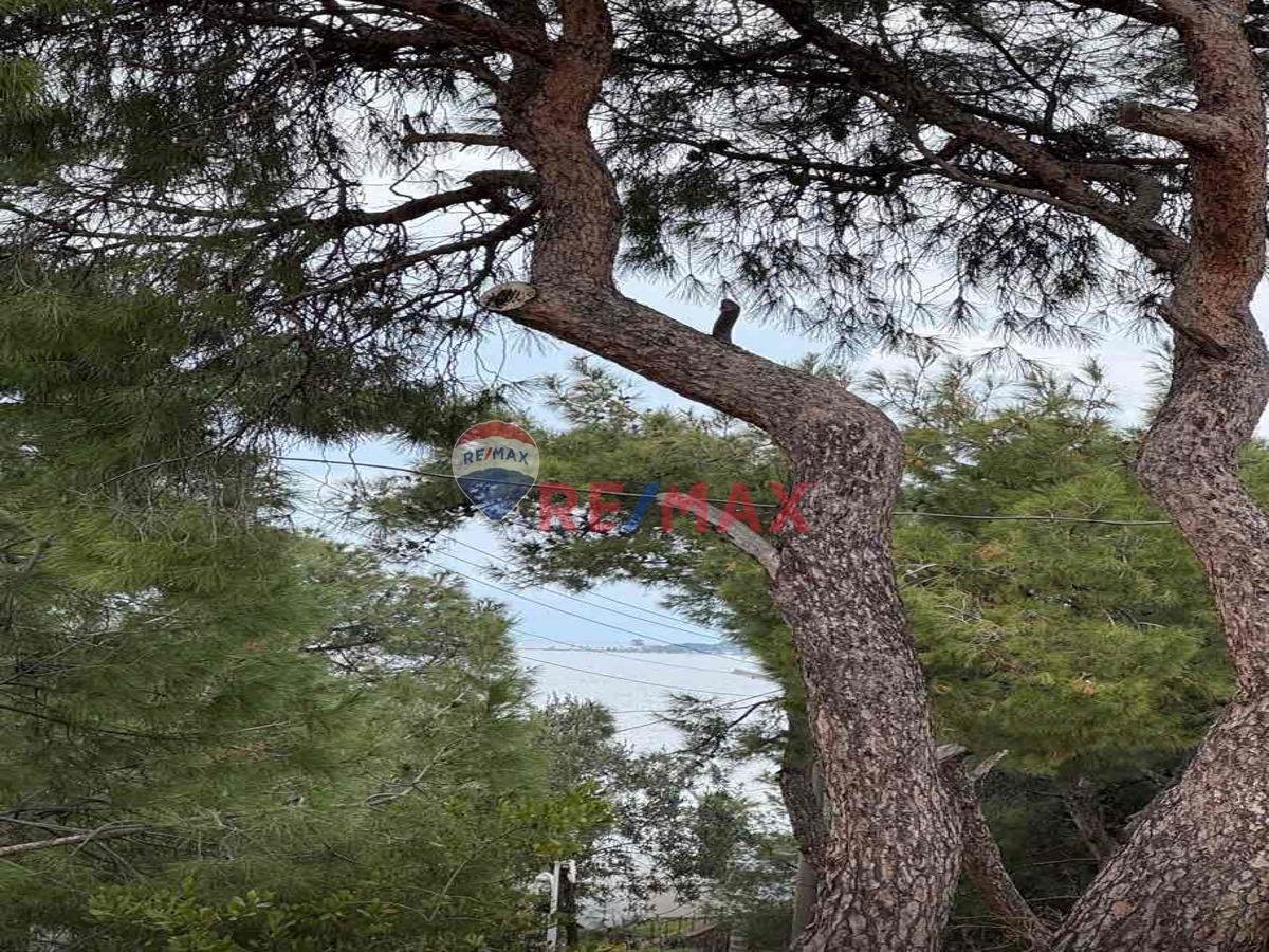 DOĞA İÇİNDE SAHİLE 50 METRE MUHTEŞEM MÜSTAKİL EV