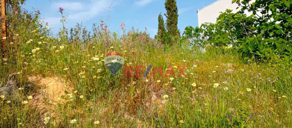 DIDIM MAVIŞEHIR'DE YATIRIMA UYGUN VILLA IMARLI SATILIK ARSA