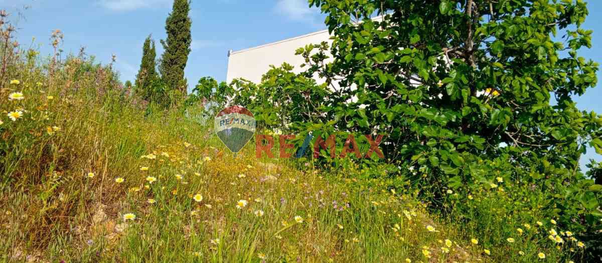 DIDIM MAVIŞEHIR'DE YATIRIMA UYGUN VILLA IMARLI SATILIK ARSA