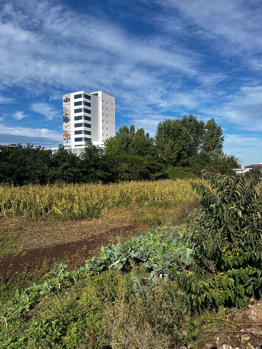 SAMSUN DERELER SATILIK ARSA