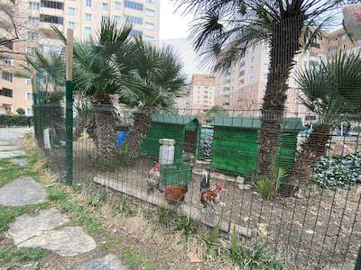 BEYLİKDÜZÜ ADNAN KAHVECİDE SİTE İÇİNDE BAKIMLI 3+1 SATILIK DAİRE